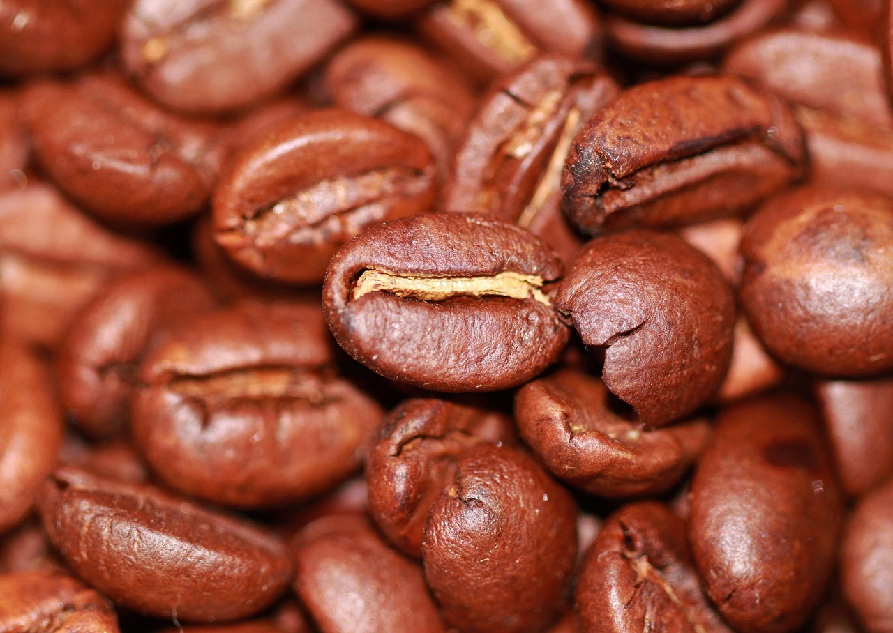 Koorg Classic Arabica – Medium Roast